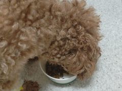 -谐和贝康宠物医院24小时·宠保定点(急重症转诊中心)