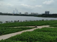 -海珠湖公园