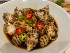 捞汁花螺-南麓·浙里(外滩店)