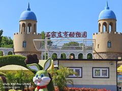 -辛玛王国游乐园