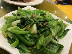 -鸿达渔港