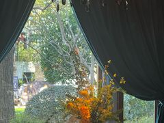 -夏朵花园(复兴西路店)