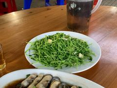 炒豆苗-江南村海鲜馆(洞头店)
