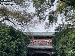 -灵谷景区