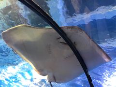 -太平洋海底世界