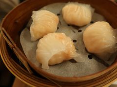 虾饺-添好运点心专门店(深水埗店)