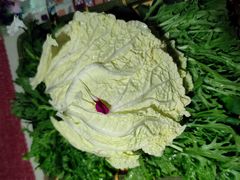 慢丽江菜园子-慢丽江·云南野生菌土鸡锅(付家庄店)