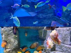 -顺德南宏海立方海洋公园