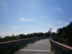 -金鸡山公园
