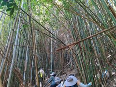 -井空里大峡谷