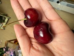 -麦德龙(闵行店)