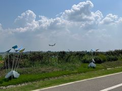 -空港花田景区