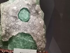 -湖南省地质博物馆