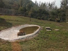 -西安秦岭野生动物园