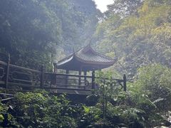 -峨眉山风景名胜区