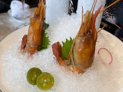 熟醉罗氏虾-人间采蜜(海信广场店)