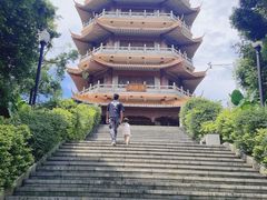 -东莞市大岭山森林公园