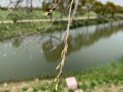 -嘉北郊野公园