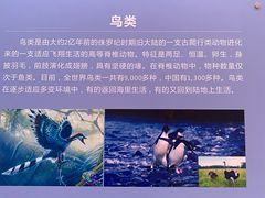 -陕西自然博物馆