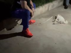 -陕西省游泳跳水馆