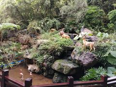 -广州锦绣香江度假别墅