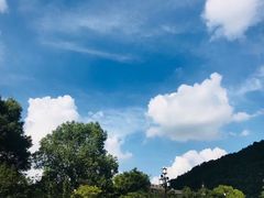 -文武王氏烧饼·无矾油条(西溪路店)