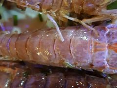 -老房子·1881海鲜餐厅