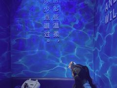 -杭州西湖星空魔幻城(星空艺术馆品牌旗舰店)