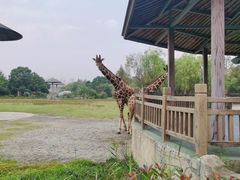 -宁波野生动物园