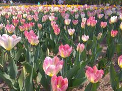 -长春公园(普阳街道)