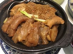-海王老记