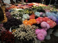 -双季花艺园艺市场(浦东店)