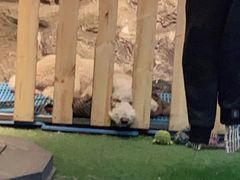 -MOJO密室逃脱(中街旗舰店)