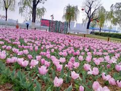 -渭滨公园