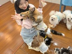 -汪说·狗咖·拼豆·宠物周边DIY(旺城大厦店)