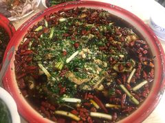 -东吴霸王兔(松青路店)