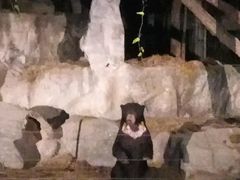 -清迈夜间动物园