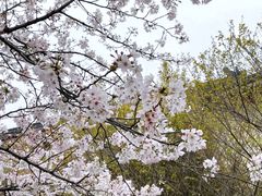 -南京城墙景区