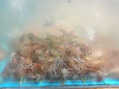 -北戴河转鱼·炒螃蟹酱餐厅