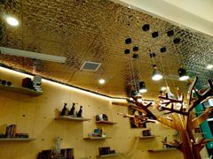 -飞行喵MR PILOT|猫舍·猫咖(静安大融城店)