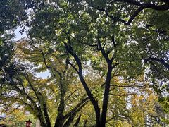 -广州中山纪念堂