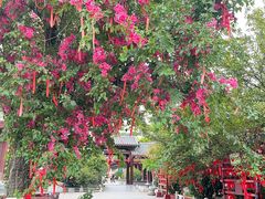 -祥源·阜阳生态乐园