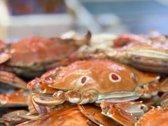 -阿静美食