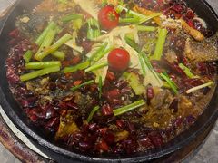 -老板恋上鱼(恒隆广场店)