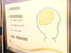 -兜莱·亲亲袋鼠国际早教