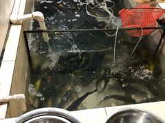 -铁锅炖灶台鱼老三炖鱼馆