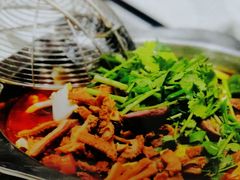 -古乐牛香·鲜牛肉牛杂火锅(新区店)