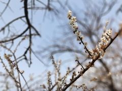 -广州市流溪河国家森林公园