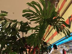 -桂满陇·蟹黄小笼汤包(中山公园店)