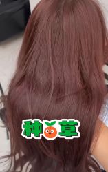 点击看大图 -藤野造型